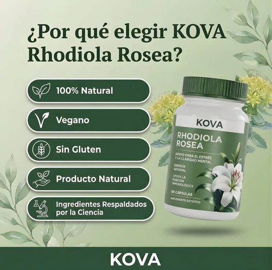 Rhodiola